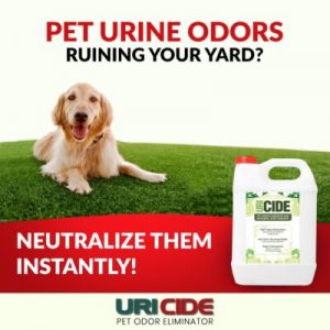 DIY Pet Odor Elimination | Pompano Beach, FL - Durafield